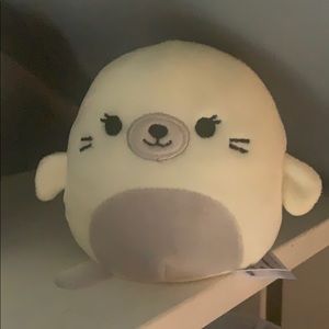 seal from mystery pack squishmallow
